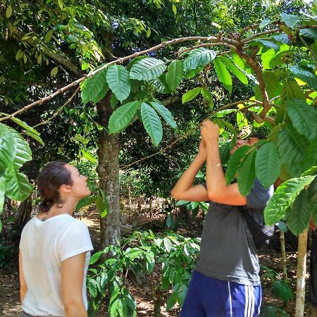 Banyu Homestay Banyuwangi  Zewnętrze zdjęcie