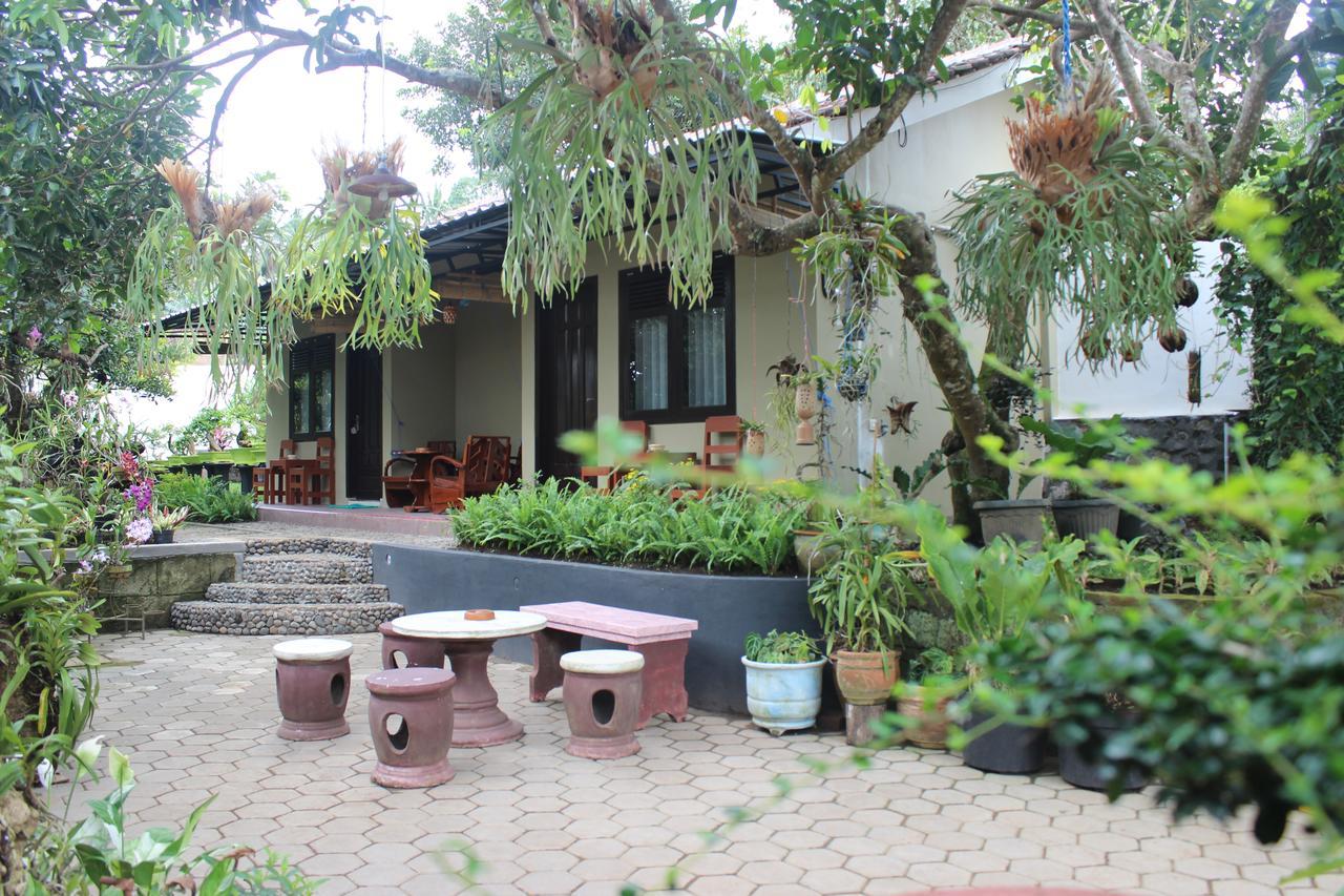 Banyu Homestay Banyuwangi  Zewnętrze zdjęcie