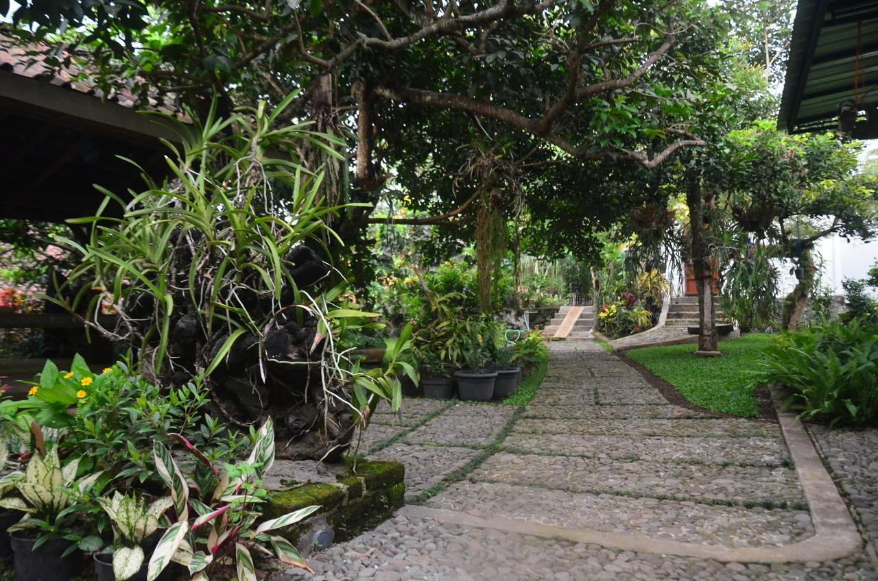 Banyu Homestay Banyuwangi  Zewnętrze zdjęcie