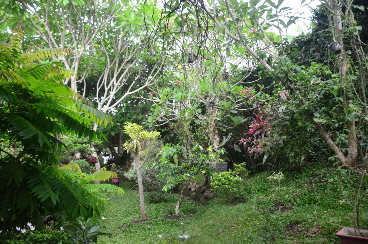 Banyu Homestay Banyuwangi  Zewnętrze zdjęcie