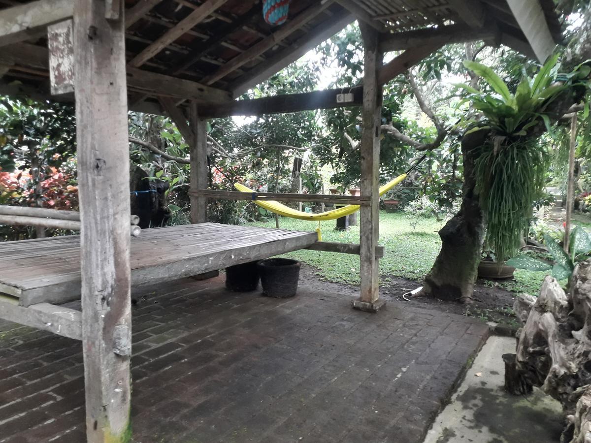 Banyu Homestay Banyuwangi  Zewnętrze zdjęcie