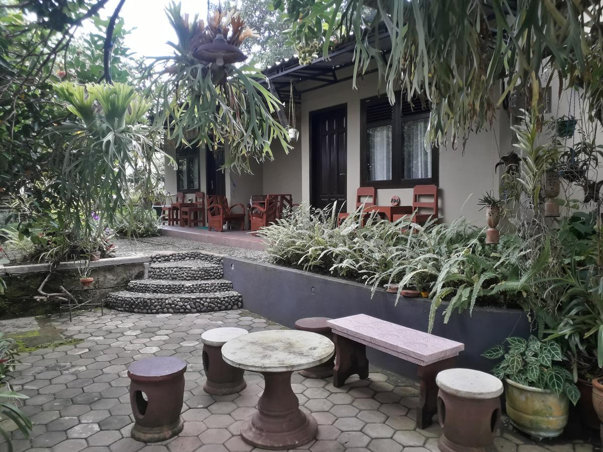Banyu Homestay Banyuwangi  Zewnętrze zdjęcie