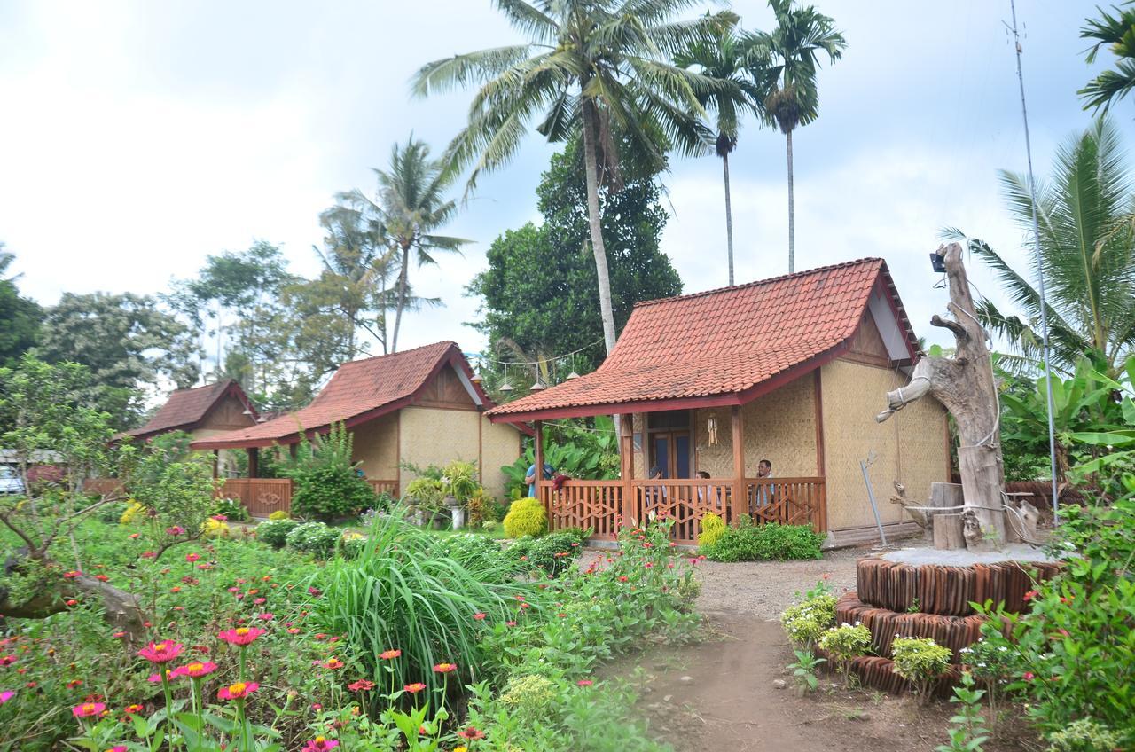 Banyu Homestay Banyuwangi  Zewnętrze zdjęcie