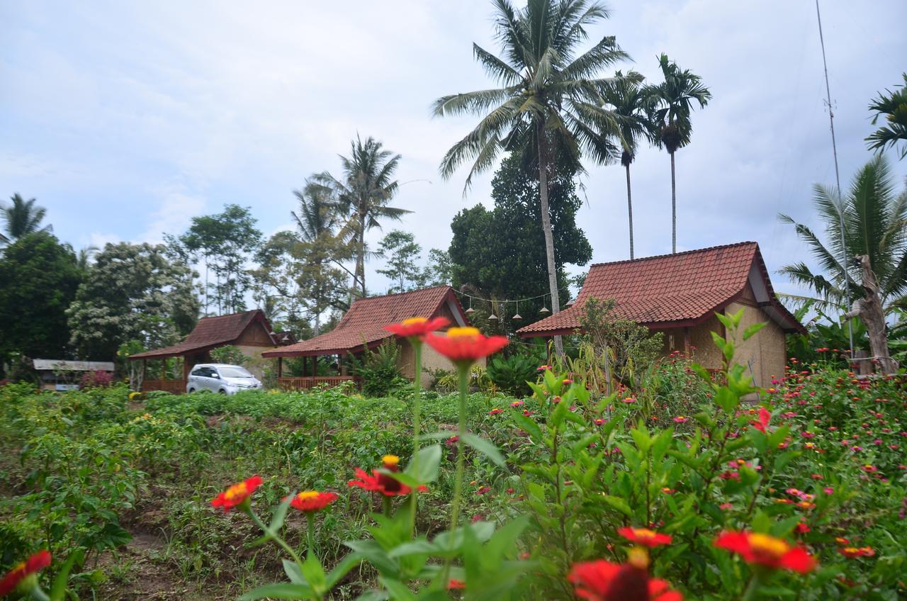 Banyu Homestay Banyuwangi  Zewnętrze zdjęcie