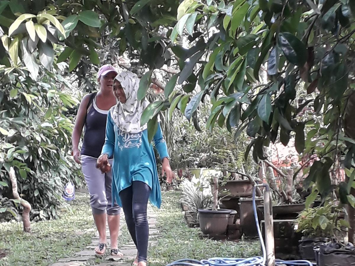 Banyu Homestay Banyuwangi  Zewnętrze zdjęcie