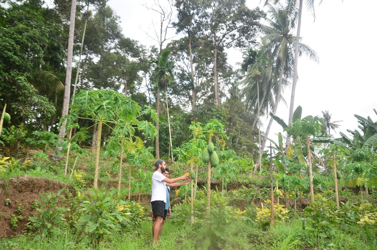 Banyu Homestay Banyuwangi  Zewnętrze zdjęcie