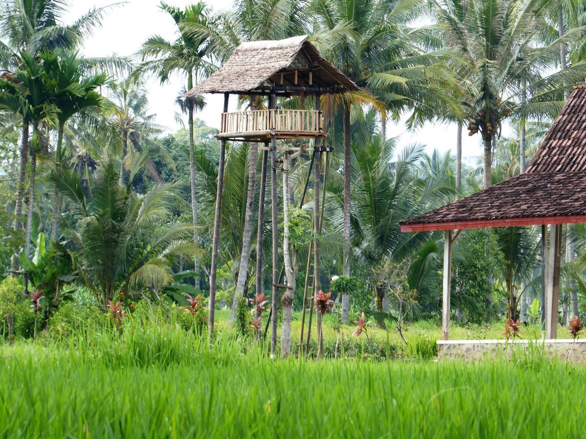 Banyu Homestay Banyuwangi  Zewnętrze zdjęcie