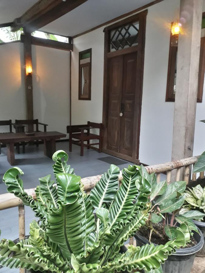 Banyu Homestay Banyuwangi  Zewnętrze zdjęcie