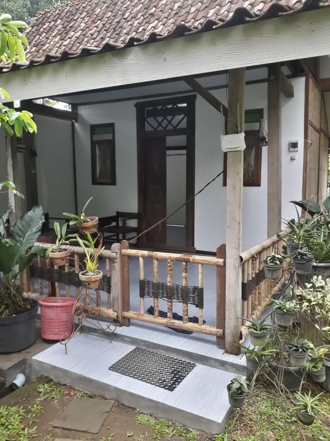 Banyu Homestay Banyuwangi  Zewnętrze zdjęcie